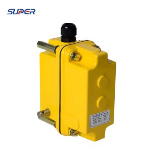 DXZ Limit Switch