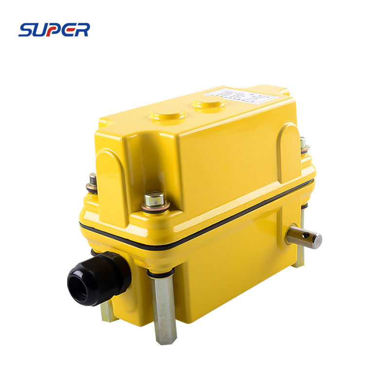 DXZ Limit Switch