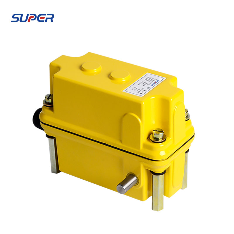 DXZ Limit Switch